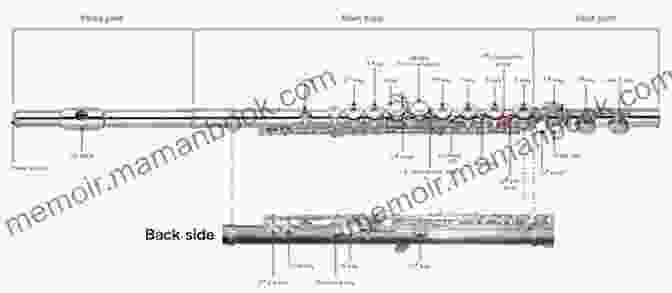 A Diagram Of The Flute's Components, Including The Headjoint, Body, And Footjoint Flute To Perfection: A Practical Guide For Beginners To Starting Playing Flute