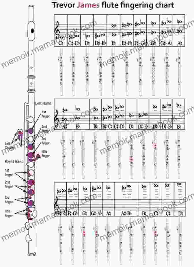 A Diagram Showing The Fingerings For The Notes On The Flute Flute To Perfection: A Practical Guide For Beginners To Starting Playing Flute