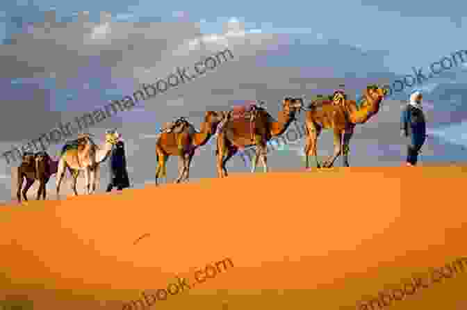 Dane Maddock Leading A Camel Caravan Across The Sahara Desert Eden Quest: A Dane Maddock Adventure (Dane Maddock Adventures 14)