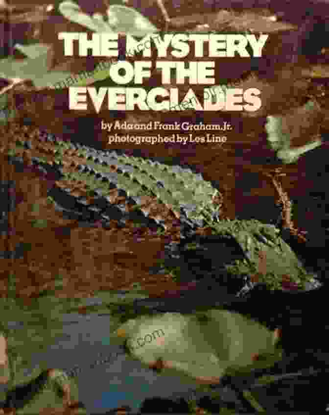 Seychelle Sullivan's Novel: Unraveling The Mysteries Of The Everglades Mourning Tide: A Seychelle Sullivan Novel (South Florida Adventure 5)
