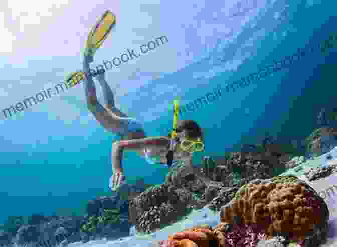 Snorkeling At Scavenger Reef Key West Scavenger Reef (Key West Capers 2)