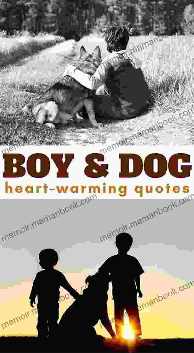 The Boy And The Dog S P I R E Decodable Readers Set 4B 10 Titles