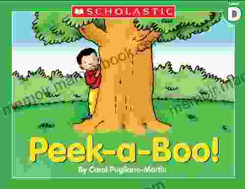 Little Leveled Readers: Peek A Boo (Level D)
